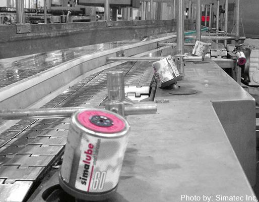 preserving conveyor belt